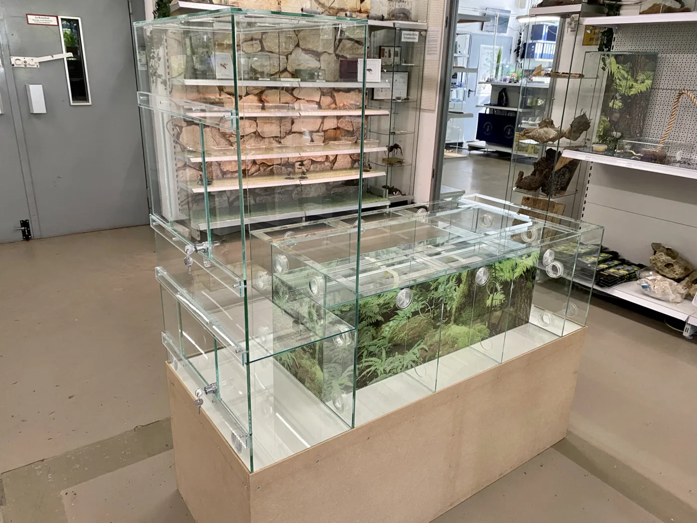 Antstore in Berlin