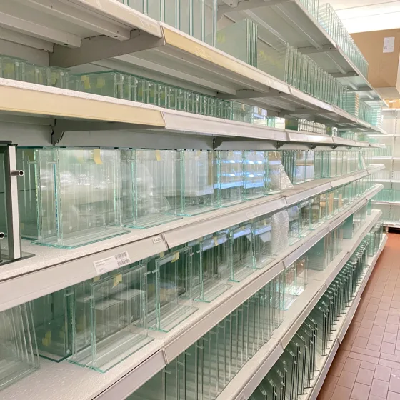 Antstore in Berlin