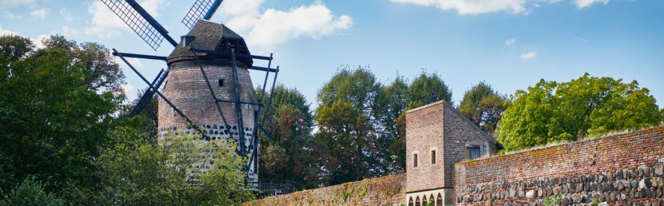 Sternenweg Tierbestattung - das Branchenbuch für Neuss