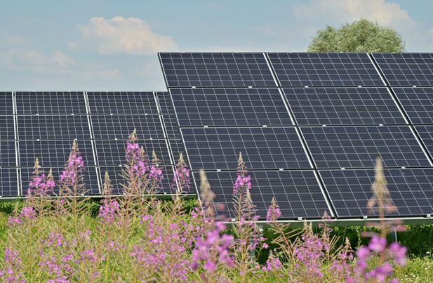 Photovoltaik Waldkirch (Breisgau)